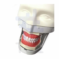 fantomas odontologia, fantoma dental precio, simulador dental con phantom, venta simuladores dentales para estudiantes de odontologia, equipo odontologico precios, dental phantom, 