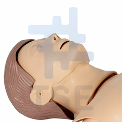 torso de adulto para resucitación cardiopulmonar