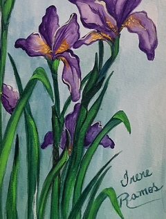 Iris siberiana on internet