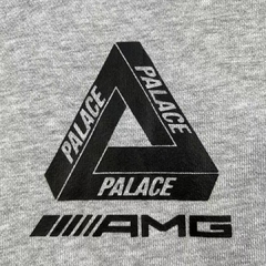 Imagem do Palace AMG 2.0 zip hood men's