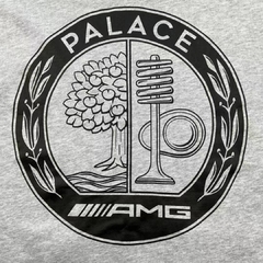 Palace AMG 2.0 zip hood men's