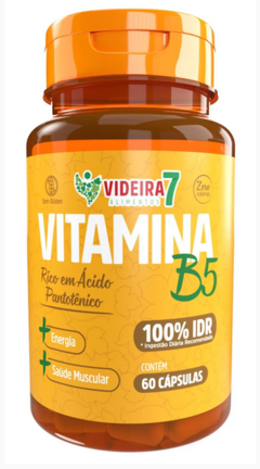 Vitamina B5 (Ácido Pantotênico) 100% Idr 60 Caps - Videra7