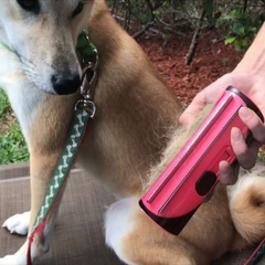 Pente de cabelo de cachorro de estimação Rolo na internet