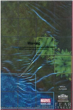 Brazil Outdoor Map / Dark Asgard Indoor Map