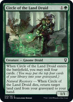 Circle of the Land Druid