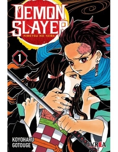 DEMON SLAYER - KIMETSU NO YAIBA - 01