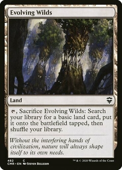 Evolving Wilds - español