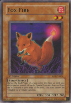 Fox Fire - EN029