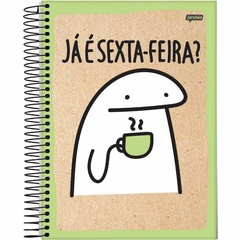 Caderno Universitário Capa Dura 10 Matérias 160 Folhas - Flork - Jandaia - 1 Unidade