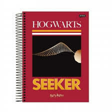 CADERNO HARRY POTTER HOGWARTS E SEEKER 10 MATÉRIAS - 1 uni