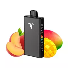 Ignite v250 25000 puff peach mango