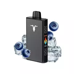 Ignite v250 25000 pufF Blueberry ice