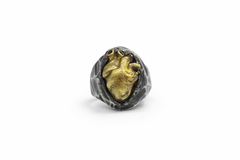 Anatomic Heart Ring on internet