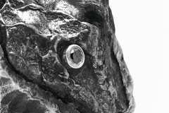 Meteorite and Black Diamond Ring