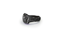 Meteorite Ring 4 - buy online