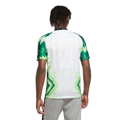 Camiseta Nike Nigeria 20/21 - comprar online