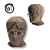 Busto MDF Harry Potter Lokos por Toys