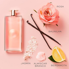 Brand Collection 238 - (Inspiração: Idôle) - 25ml - comprar online