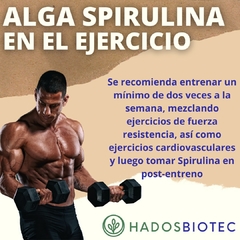 Alga Sprirulina-Chlorella Hadosbiotec, 100 cápsulas - comprar en línea