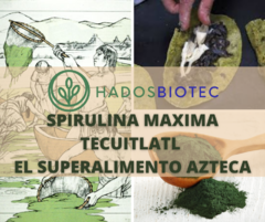 Polvo de Alga Spirulina