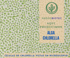 Imagen de Alga Sprirulina-Chlorella Hadosbiotec, 100 cápsulas