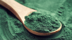 Polvo de Alga Spirulina - tienda en línea