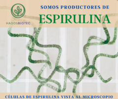 Alga Sprirulina-Chlorella Hadosbiotec, 100 cápsulas - tienda en línea