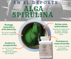 Polvo de Alga Spirulina - comprar en línea