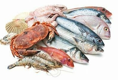 Banner de la categoría PESCADERIAS