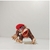 Imagem do Kit 18 Bonecos Super Mario World Coleção Miniaturas Nintendo Dokey Kong Novos Personagens II