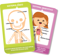 Cartas educativas Cuerpo humano - comprar online