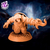 Toupeira Mago do Fogo Miniaturas para RPG - Dungeons & Dragons D&D