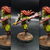 Orc Guerreira Machado Duas Mãos Miniaturas para RPG - Dungeons & Dragons D&D - comprar online