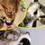 Petiscos KeittyTreats - Para Gatos - comprar online