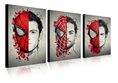 Set 3 Piezas Cuadros Decorativos - Spiderverse No Way Home S