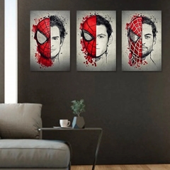 Set 3 Piezas Cuadros Decorativos - Spiderverse No Way Home S - Ahuevosi