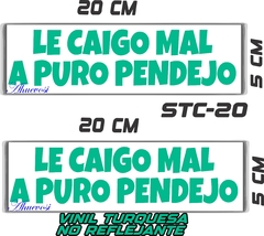 CALCOMANIAS REFLEJANTES LE CAIGO MAL - tienda en línea