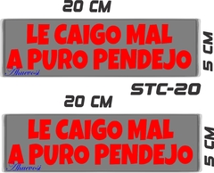 CALCOMANIAS REFLEJANTES LE CAIGO MAL - tienda en línea