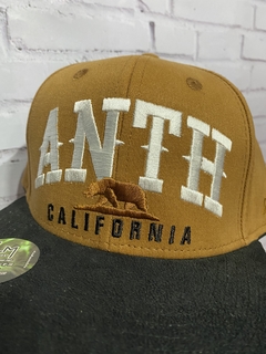 BONÉ ANTH CO CALIFORNIA