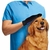 Luva Magica Massageadora para Pets - comprar online