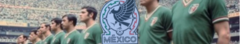 Banner de la categoría México