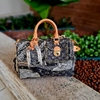 Louis Vuitton Patchwork Speedy