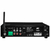 BTA-2 G2 - Audio Streaming Receiver compacto com conexão Bluetooth e sintonizador de FM estéreo / 60W RMS máximos ou 30W RMS contínuos em 4 ohms na internet