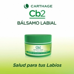 Balsamo Labial CB2 Skin 10g