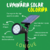 Luz Led Solar Spot cor Colorido RPG - loja online