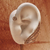 Brinco asa ear cuff cravejado