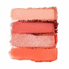 PALETA DE BLUSH FRAN BY FRANCINY EHLKE BEACH FACE - comprar online