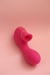 VIBRADOR SUCÇÃO DE CLITÓRIS E VIBRAÇÃO DE PONTO G na internet