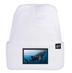 shark-wale-tiburon-ballena-gorro-lana-Wool-Watch-Knit-Cap