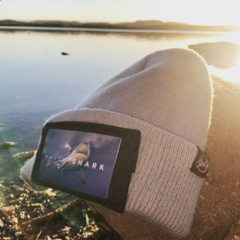 Wool Watch Knit Cap Grey White Shark on internet